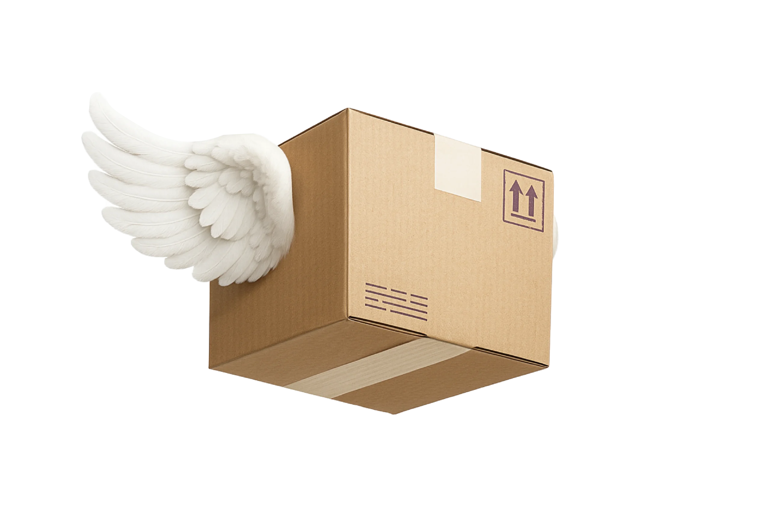 Home svg footer banner